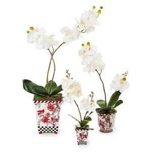 Cardinal Toile Medium Orchid