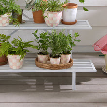 Cargar imagen en el visor de la galería, Rosy Check Herb Pots, Set of 3