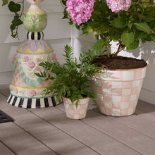 Cargar imagen en el visor de la galería, Rosy Check Small Garden Pot