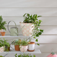 Cargar imagen en el visor de la galería, Rosy Check Extra Large Garden Pot