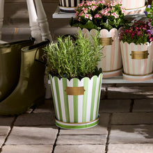 Cargar imagen en el visor de la galería, Grass Green Stripe Pots &amp; Saucers, Set of 3
