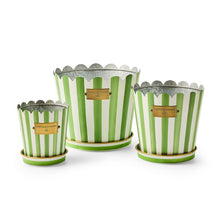 Cargar imagen en el visor de la galería, Grass Green Stripe Pots &amp; Saucers, Set of 3