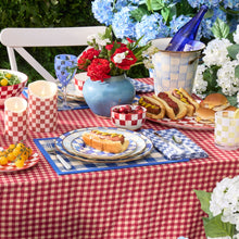 Cargar imagen en el visor de la galería, Blue Woven Check Straw Placemats, Set of 4
