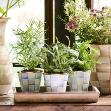 Cargar imagen en el visor de la galería, Sky Check Herb Pots, Set of 3