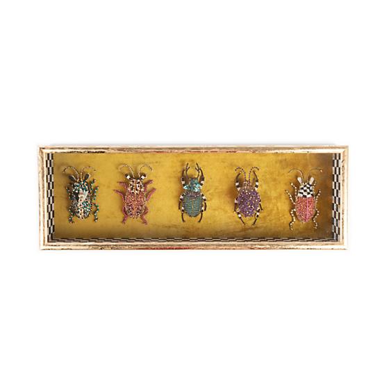 Entomologist Shadow Box - Rectangular