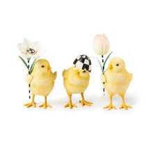 Cargar imagen en el visor de la galería, Rose Garden Chicks - Set of 3